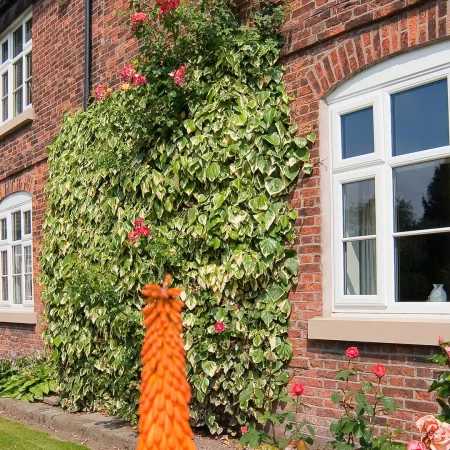 extreme-upvc-windows-gallery-43.jpg